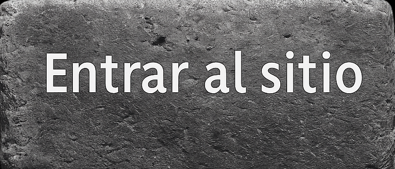 Entrar al sitio